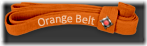 orange_belt_icon