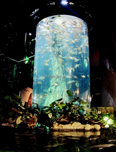 aquaria 086