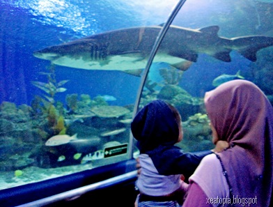aquaria 146