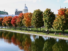 [dMontreal6[3].jpg]