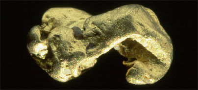 Oro-Gold