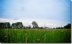 Nature1Web