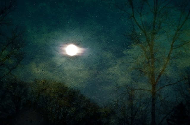 [StarryStarryNightMyVersion[2].jpg]
