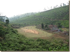 IMG_1732 - VL cricket field
