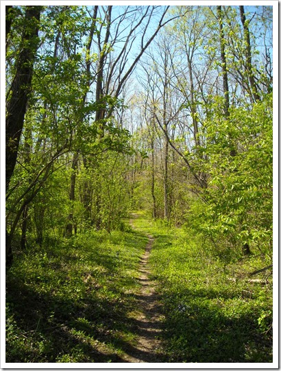 Spring 2010 Loveland, Ohio 