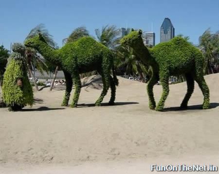 Grass Sculptures