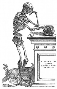 164-skeleton-with-skull-q90-315x500