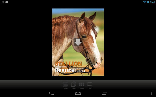 QHN Stallion Register