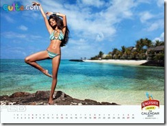 Kingfisher Calendar 2011_2