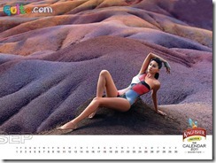 Kingfisher Calendar 2011_9