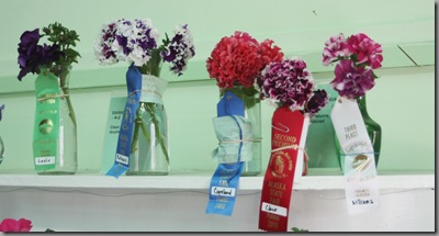 fair 156 fair 156