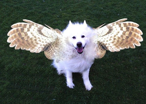 [455286785_35494b5a66[2].jpg]