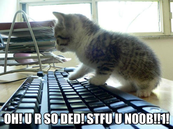 [fotos de gatitos (6)[2].jpg]