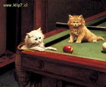 [fotos de gatitos (39)[2].jpg]