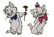 gatinhos29.png