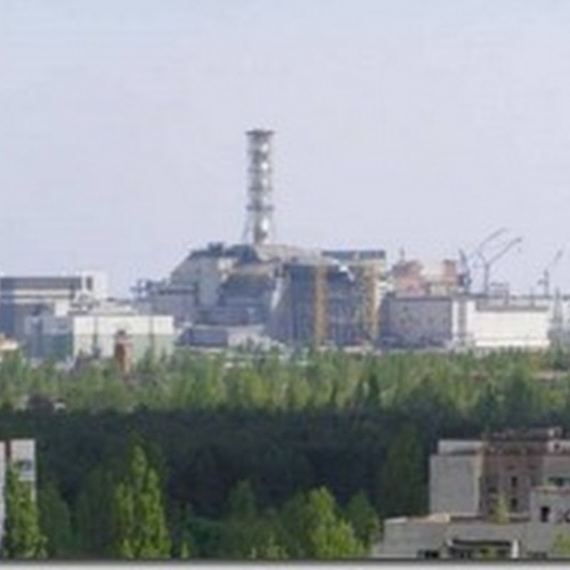 Чернобыльские пустоши