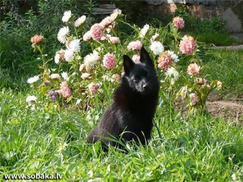 [clip_image0485.jpg]