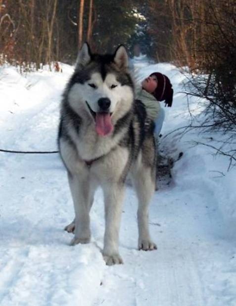 [clip_image0817.jpg]