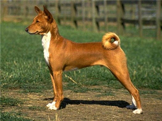 [clip_image0345.jpg]