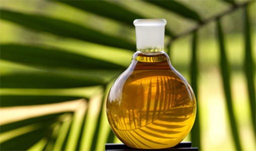 20080530-palm-oil