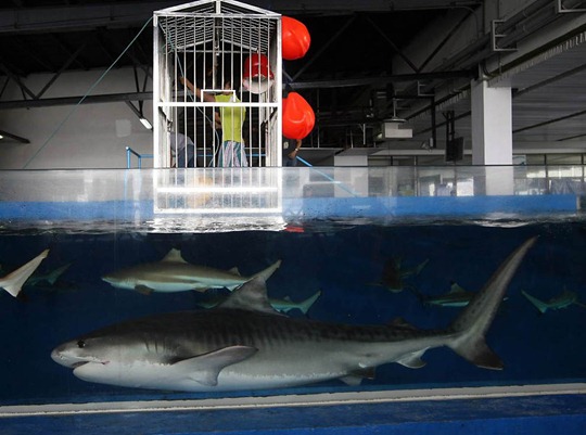 [clip_image024[4].jpg]