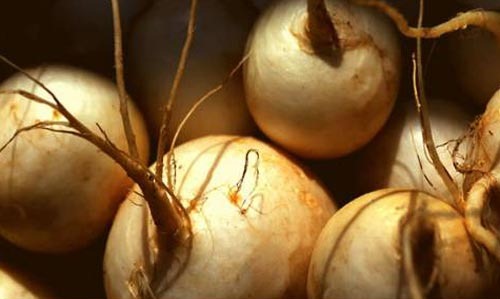 [parenaya-repa[4].jpg]