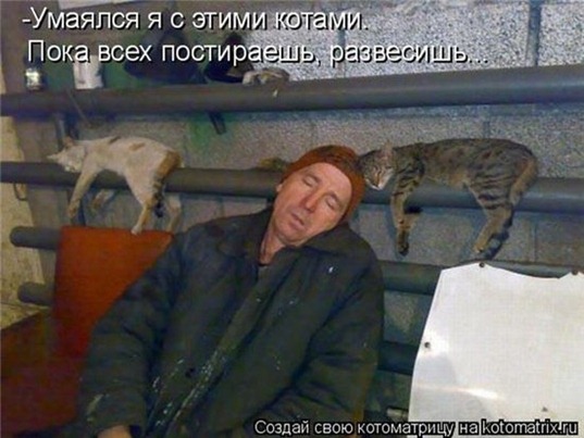 [clip_image087[4].jpg]