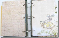 aawa journal fairy riding turtle