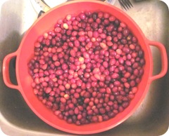 Jellied sauce starting with cranberries