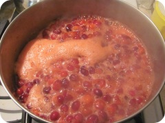 Jellied cranberry sauce cooking foam in pan1