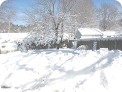 1.27.11 snowstorm sideyard