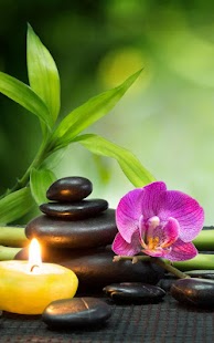 Free Zen Live Wallpaper APK for Android
