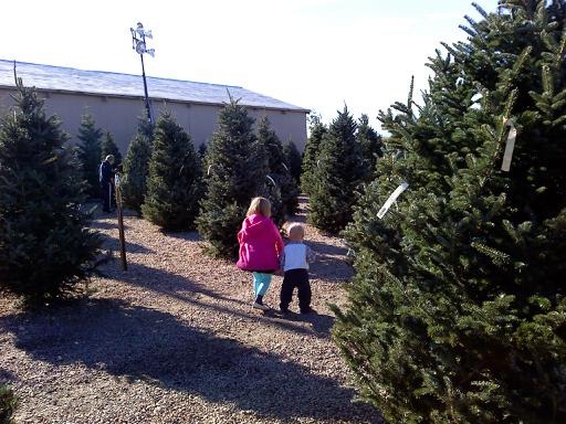 [2010-12-12 Picking a Christmas Tree (05)[3].jpg]