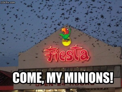 photo of restaurant with a bunch of birds flying at it