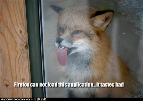 photo of a fox licking a window