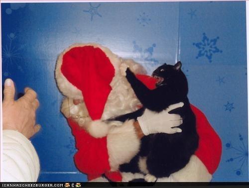 photo of a cat attacking santa