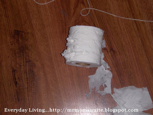 photo of torn up toilet paper