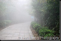 Mist or Rain - Zhangjiajie, Hunan, China