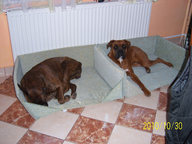 100_3300.JPG