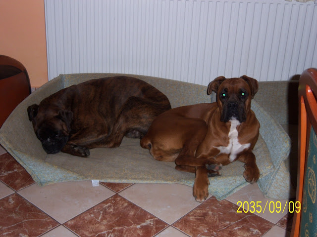 100_3349.JPG