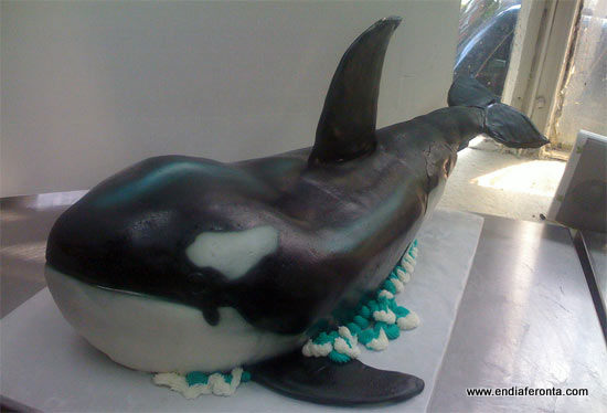 whale-cake.jpg