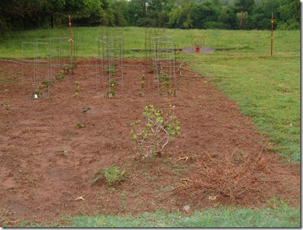 front yard garden