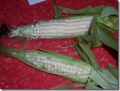 corn 9.12.09 002