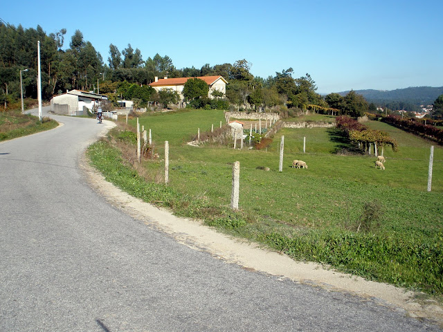 Camino de Santiago Portugués