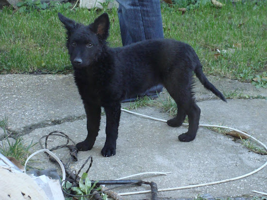 20101023-5.JPG