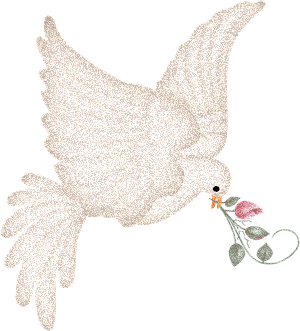 dove%2001.png