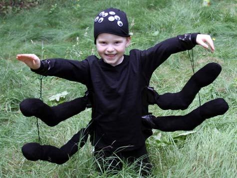 [spider-costume-craft-photo-475x357-hmann-16_476x357[3].jpg]