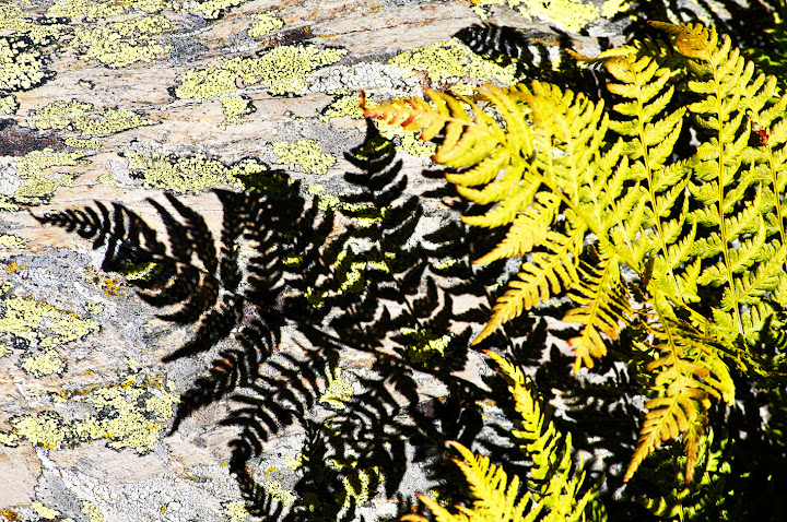 _DSC0359a.jpg