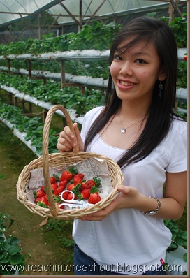 Strawberries !!