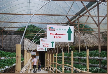 Mushroom Farm , Flower Farm, Organic Farm